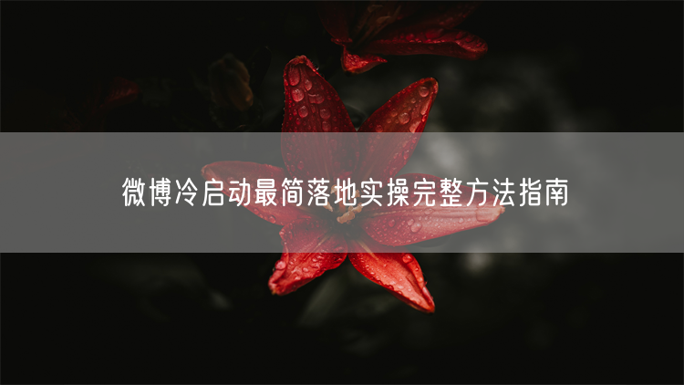 微博冷启动最简落地实操完整方法指南