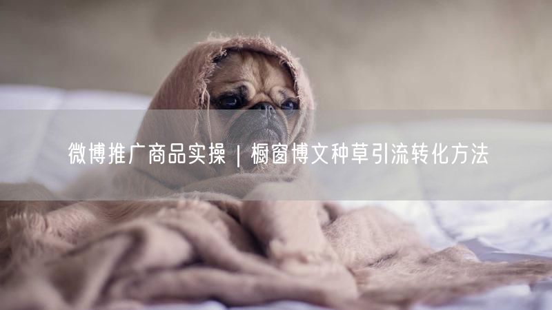 微博推广商品实操｜橱窗博文种草引流转化方法