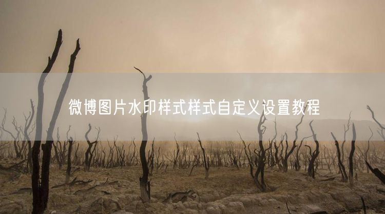 微博图片水印样式样式自定义设置教程