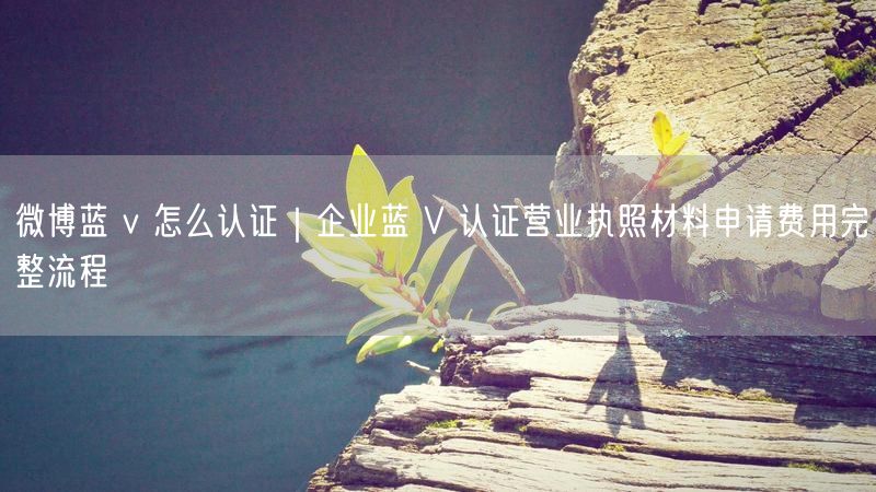 微博蓝 v 怎么认证｜企业蓝 V 认证营业执照材料申请费用完整流程