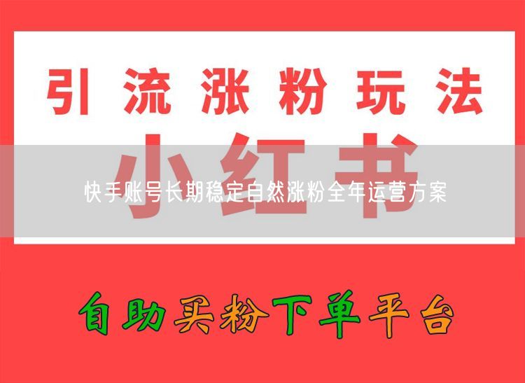 快手账号长期稳定自然涨粉全年运营方案