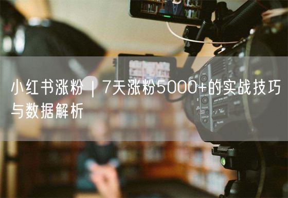 小红书涨粉｜7天涨粉5000+的实战技巧与数据解析