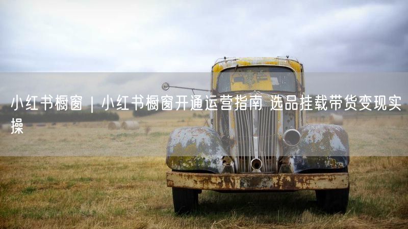 小红书橱窗｜小红书橱窗开通运营指南 选品挂载带货变现实操