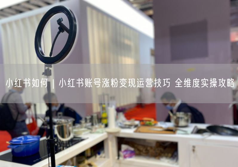 小红书如何｜小红书账号涨粉变现运营技巧 全维度实操攻略