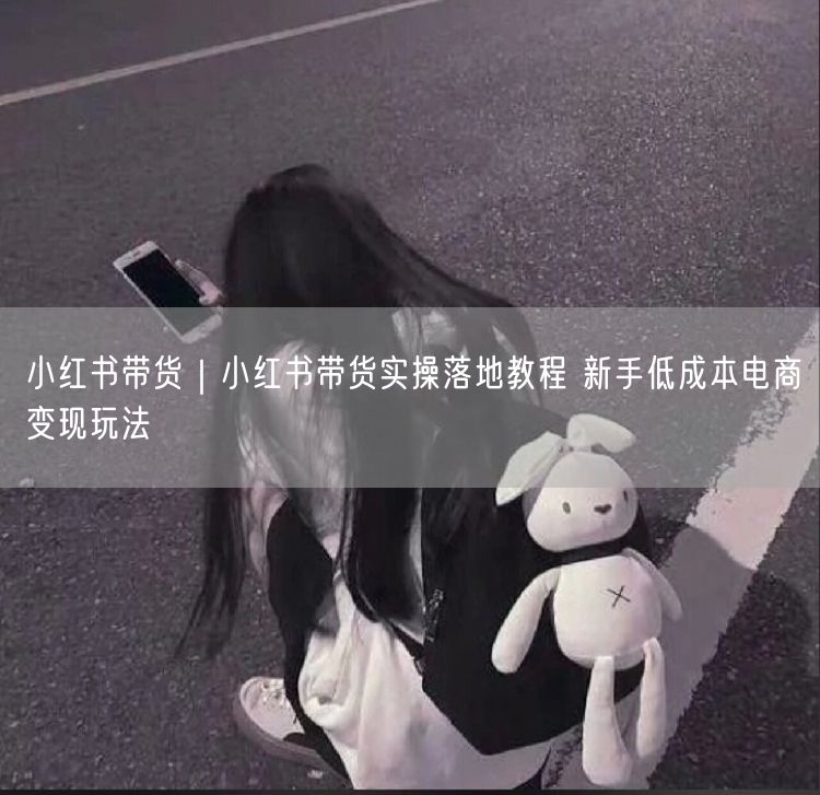 小红书带货｜小红书带货实操落地教程 新手低成本电商变现玩法