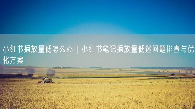 小红书播放量低怎么办｜小红书笔记播放量低迷问题排查与优化方案