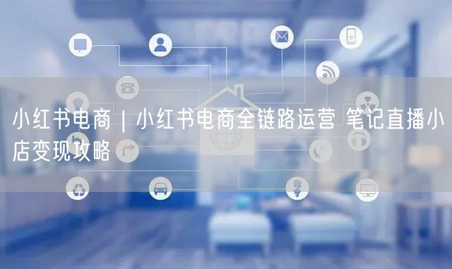 小红书电商｜小红书电商全链路运营 笔记直播小店变现攻略